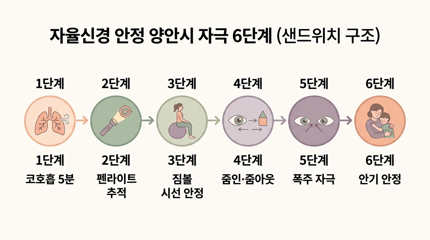 자율신경 안정 양안시 자극 6단계 코호흡 펜라이트 추적 줌인 줌아웃 폭주 자극 일상 통합 단계별 흐름도 한글 라벨 인포그래픽