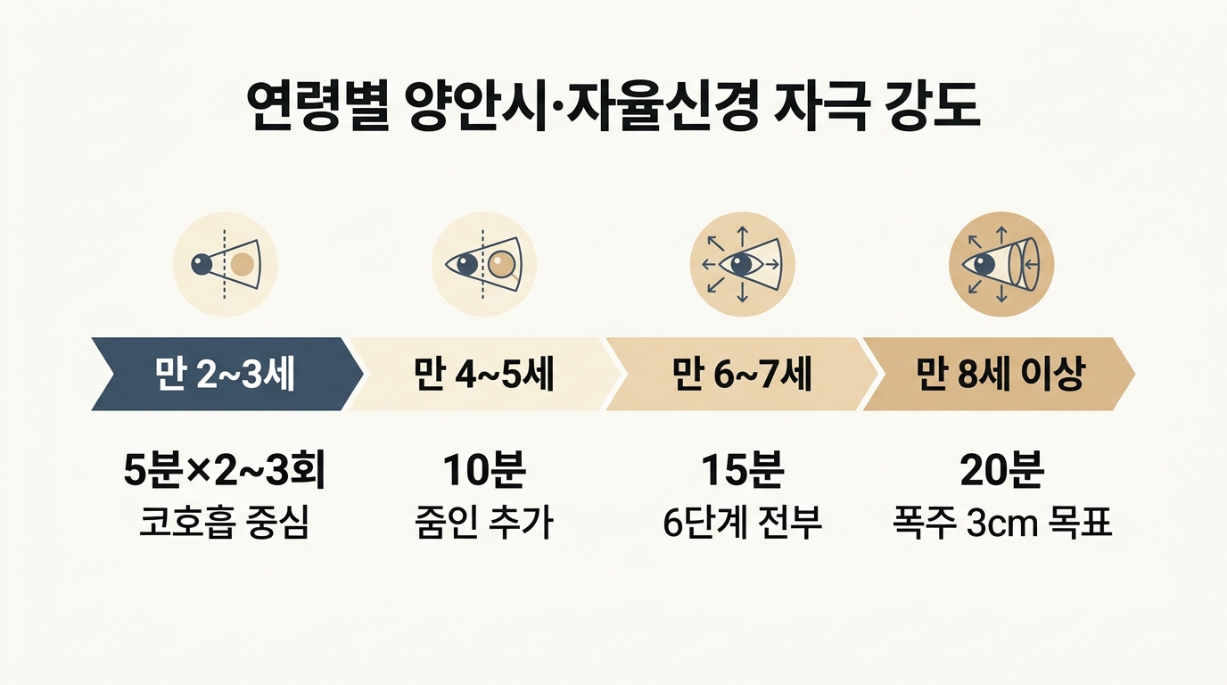 연령별 양안시 자율신경 자극 강도 만 2세부터 만 8세 이상 시간 단계 관찰 신호 8주 진행 한글 라벨 일정표 인포그래픽