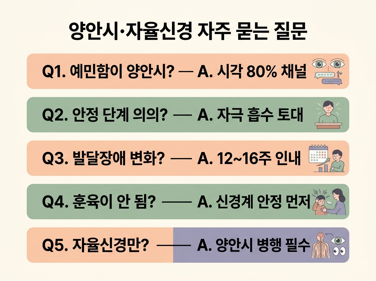 양안시 자율신경 자주 묻는 질문 5가지 핵심 답변 정리 예민함 원인 안정 단계 발달장애 훈육 자율신경 안정 한글 라벨 Q&A 인포그래픽