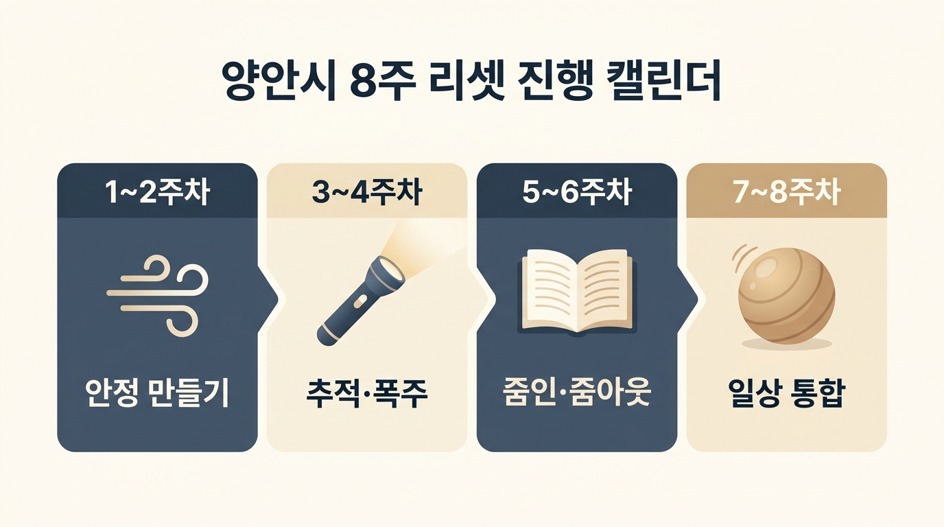 양안시 8주 리셋 프로그램 캘린더 주차별 안정 활성화 통합 단계별 체크포인트 일정표 한글 라벨 인포그래픽
