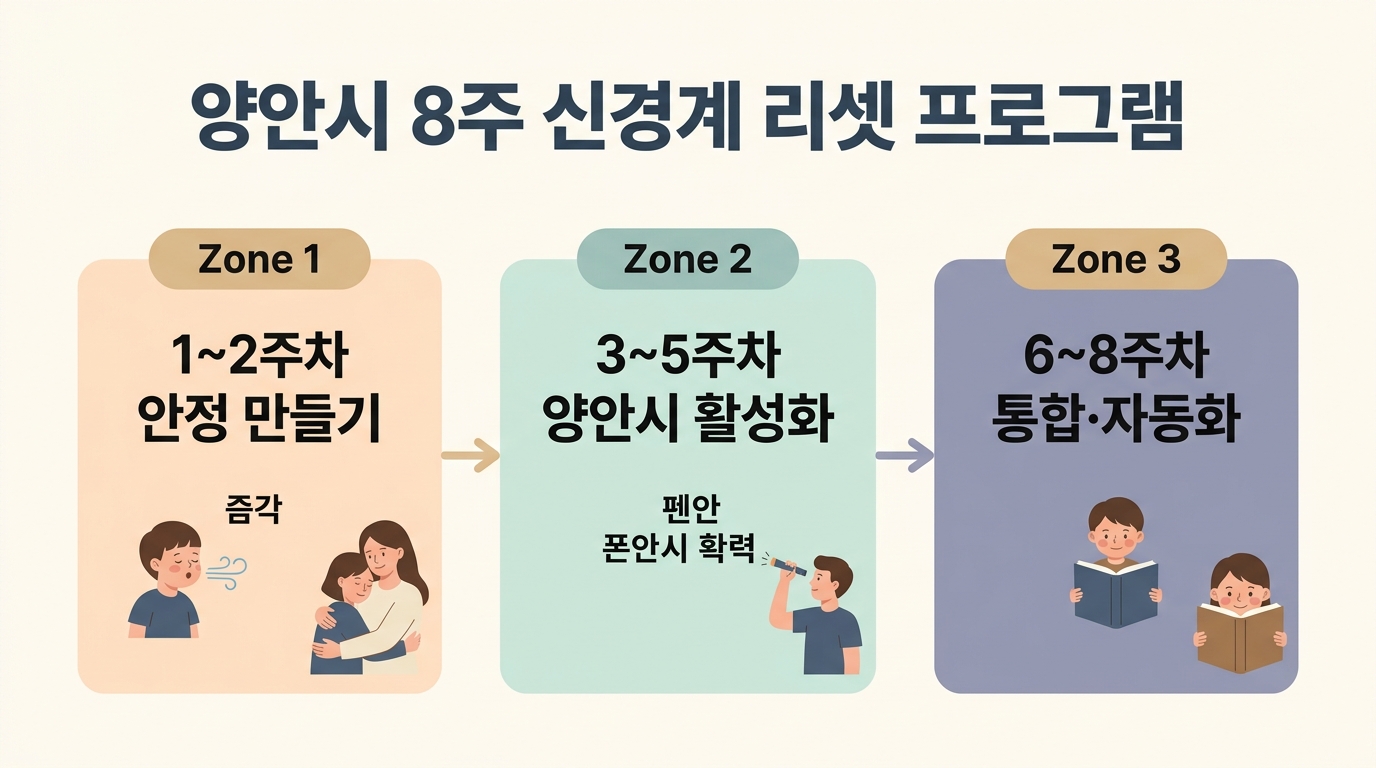양안시 발달 8주 신경계 리셋 프로그램 — 안정·활성화·통합 단계별 가이드