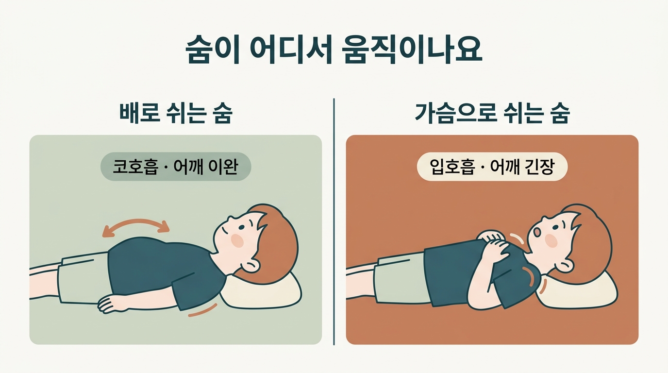 배로 숨 쉬는 아이와 가슴·어깨로 숨 쉬는 아이의 호흡 위치 차이와 혀 위치가 기도에 미치는 영향을 좌우로 비교한 일러스트 인포그래픽