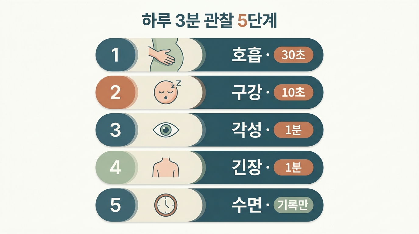 호흡 30초·구강 10초·각성 1분·긴장 1분·수면 기록으로 이어지는 하루 3분 5단계 관찰 순서를 번호로 배열한 플로우 인포그래픽