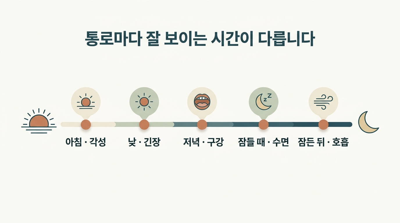 하루 일과 위에 호흡·구강·각성·긴장·수면 관찰 시점을 배치해 총 3분으로 구성한 몸읽기 관찰 시간표 인포그래픽