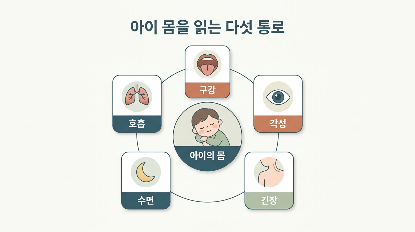 아이 몸을 읽는 호흡·구강·각성·긴장·수면 다섯 통로를 다섯 개의 창문으로 표현한 몸읽기 개념 인포그래픽