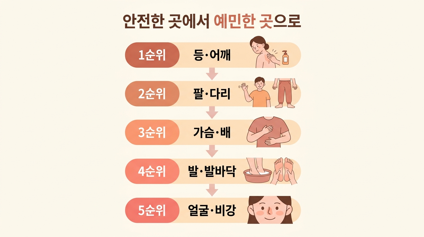 등 어깨에서 팔다리 가슴배 발 얼굴 순으로 안전한 부위에서 예민한 부위로 이어지는 핸즈온 접근 순서 플로우 차트