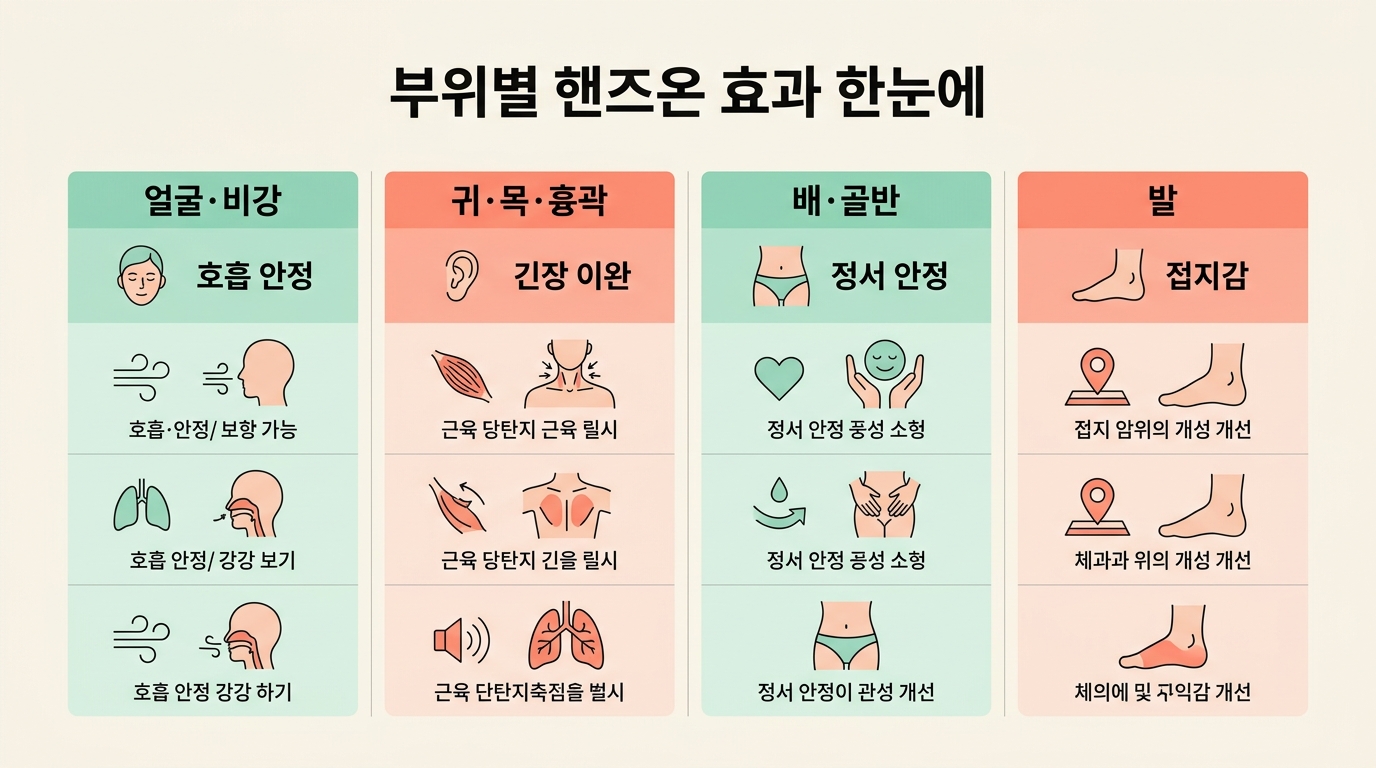 얼굴 비강 귀 목 흉곽 배 골반 발 네 부위별 핸즈온 효과와 방법을 비교한 일러스트 분할 인포그래픽