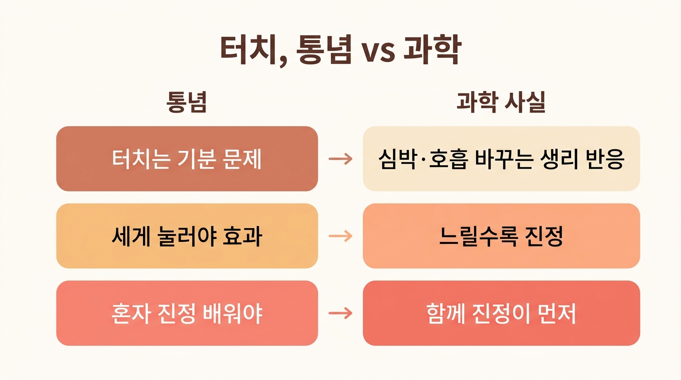 터치에 대한 흔한 통념 5가지와 발달신경과학 사실을 좌우로 대조한 일러스트 분할 비교 인포그래픽
