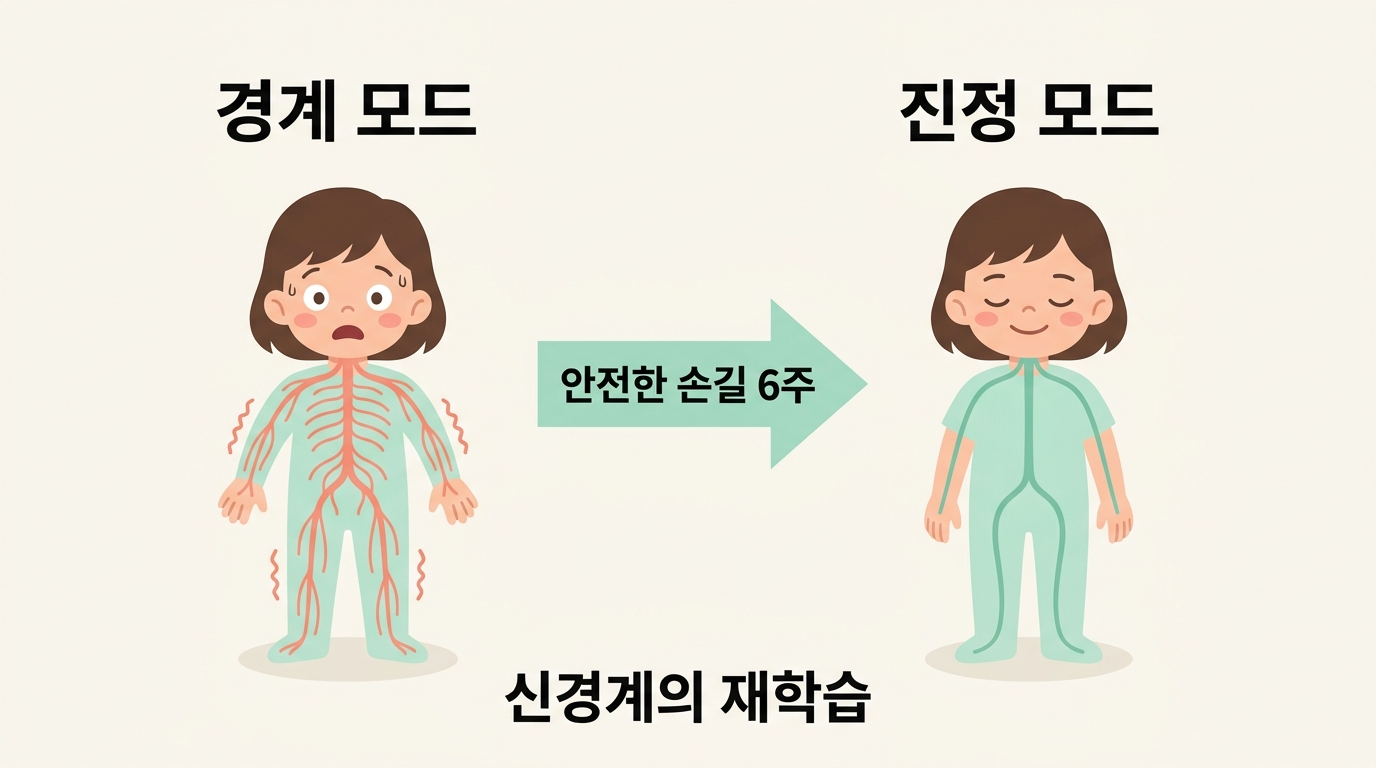 경계 모드로 학습된 신경계가 6주간 안전한 손길 반복으로 진정 모드로 재학습되는 두 아이 사례의 전후 변화 인포그래픽
