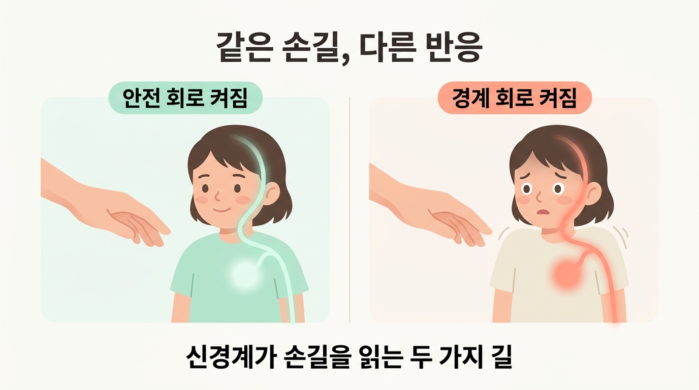 아이 신경계의 안전 회로와 경계 회로가 같은 손길에 어떻게 다르게 반응하는지 보여주는 2분할 메커니즘 다이어그램