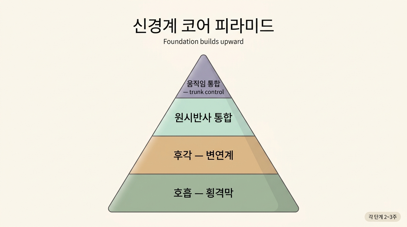 호흡-후각-반사-통합 4단계가 피라미드로 쌓이는 모습을 보여주는 인포그래픽