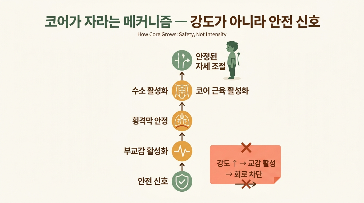 코어가 자라는 메커니즘 호흡 자율신경 신호 회로 다이어그램
