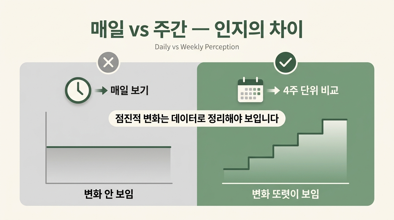 8주 변화 매일 보는 시선 vs 주간 데이터 시선 비교 인지 차이 다이어그램