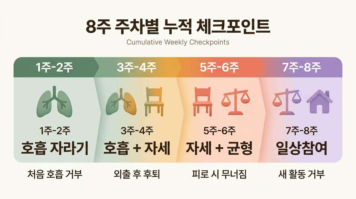 8주 주차별 코어 발달 체크포인트 호흡 자세 균형 일상참여 누적 인포그래픽