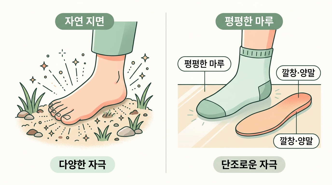 자연 지면과 달리 깔창·양말·평평한 마루가 발바닥 자극을 단조롭게 만드는 과정을 비교한 인포그래픽