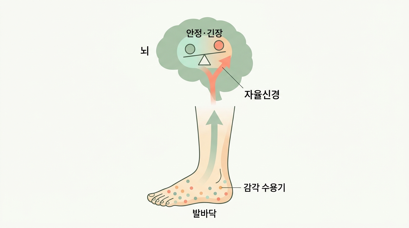 밤에 자꾸 깨고 예민한 아이, 발바닥 감각부터 살펴야 하는 이유 | 자율신경 리밸런싱 첫걸음