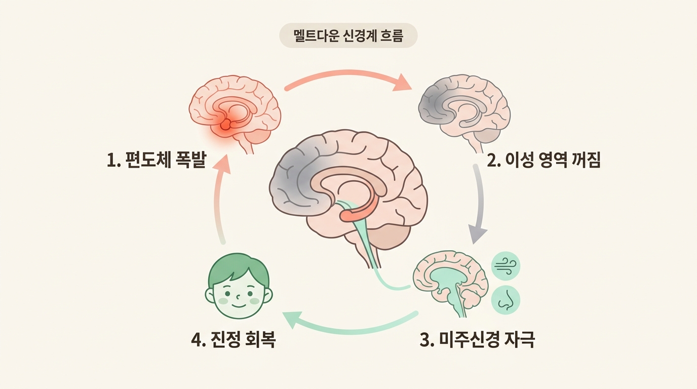 HSP 아이 멜트다운 신경계 흐름도