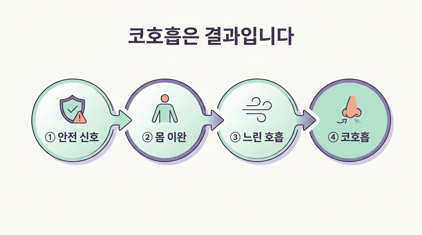 신경계 안전에서 몸 이완 느린 호흡 코호흡으로 이어지는 4단계 상태 흐름을 보여주는 한글 라벨 다이어그램