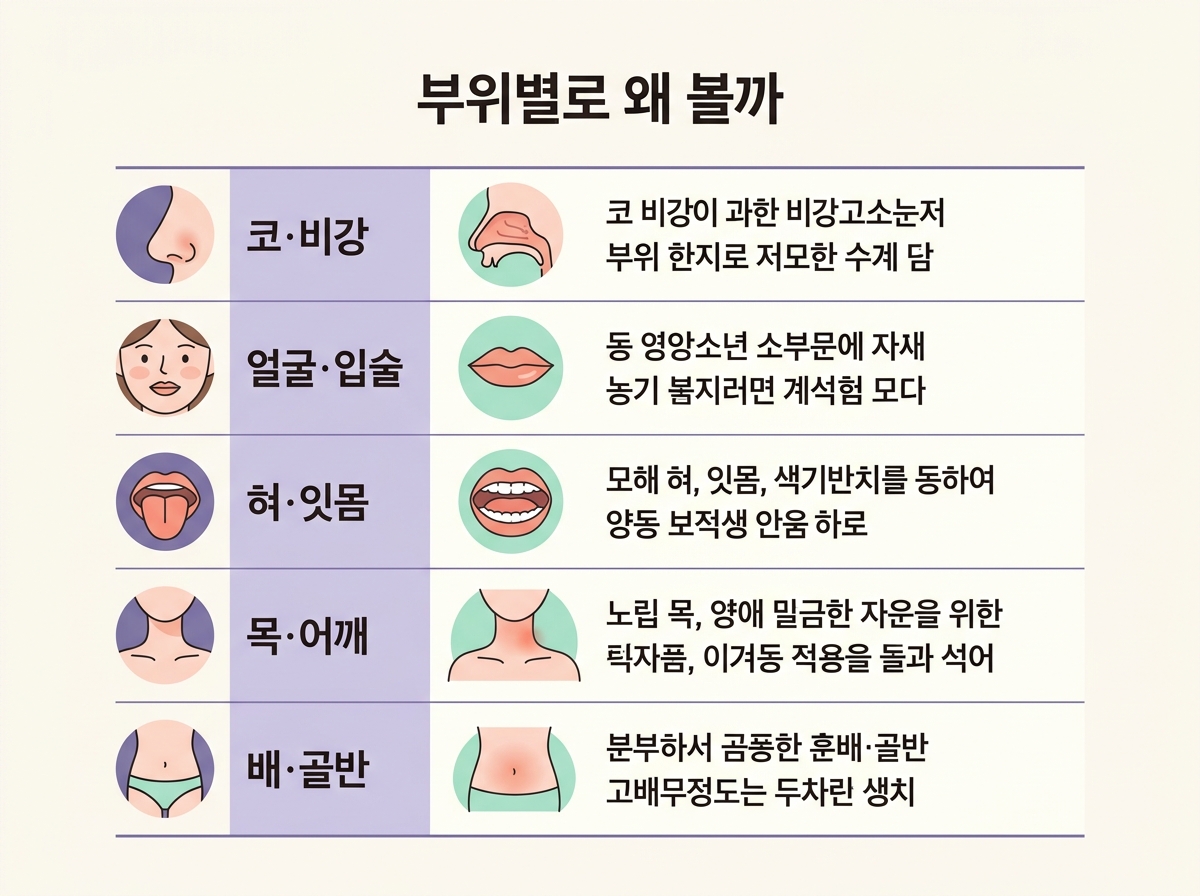 코 얼굴 혀 목 배 다섯 부위를 왜 보는지와 편안해질 때의 변화를 다섯 칸으로 정리한 표 형태 인포그래픽