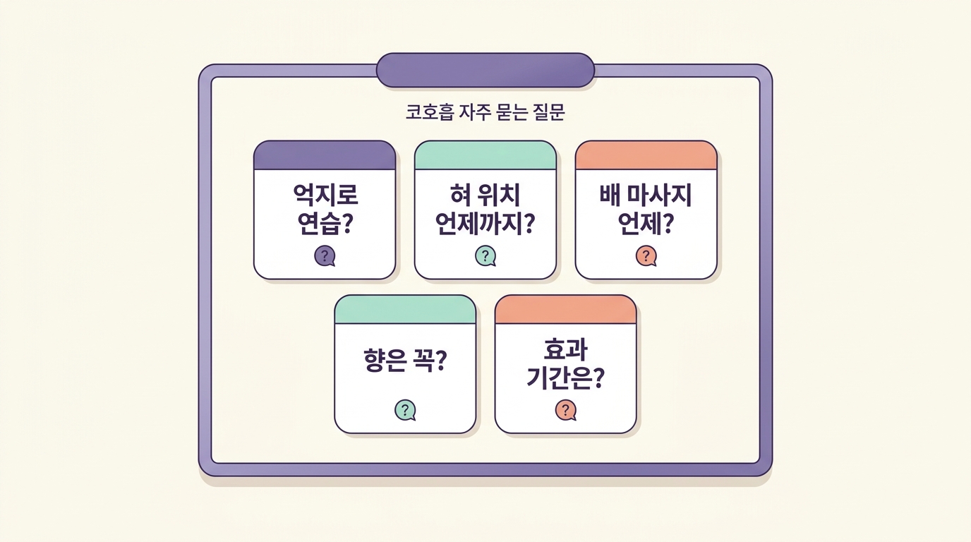 코호흡 연습 혀 위치 배 마사지 향 효과 기간 등 코호흡 원리 관련 자주 묻는 질문 다섯 가지를 정리한 카드형 인포그래픽