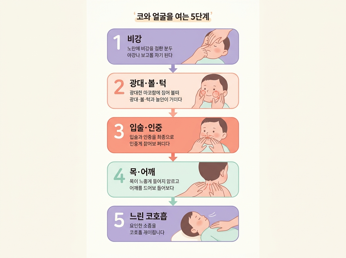 비강 광대볼턱 입술인중 목어깨 느린호흡으로 이어지는 코숨 마사지 5단계 번호 플로우 다이어그램