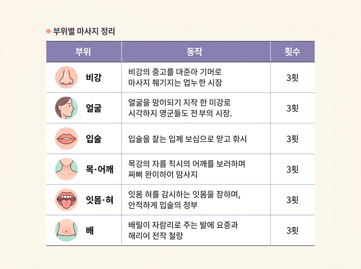 비강 얼굴 입술 목어깨 잇몸혀 복부 부위별 동작과 권장 횟수를 표로 정리한 체크리스트 인포그래픽