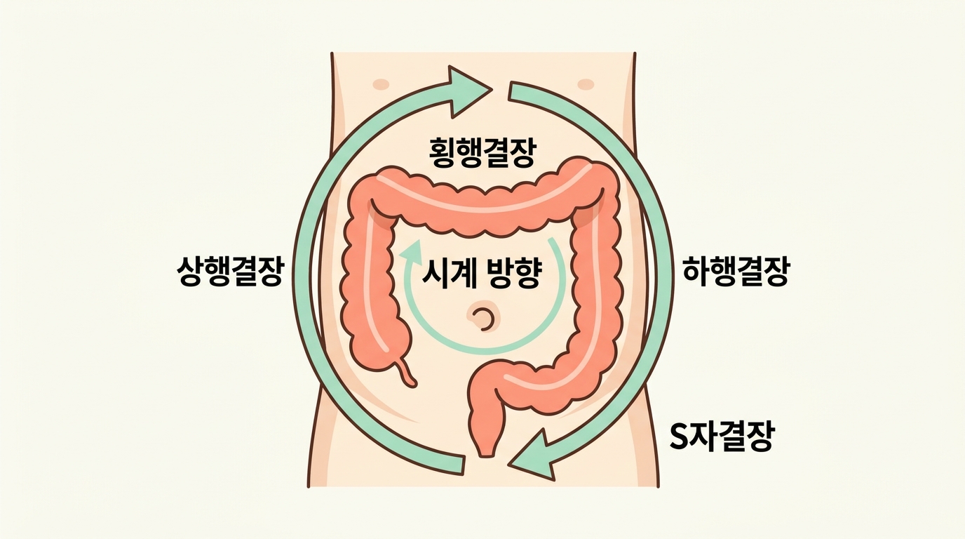 배꼽 중심 시계 방향 상행 횡행 하행 결장으로 이어지는 아이 복부 마사지 방향 다이어그램