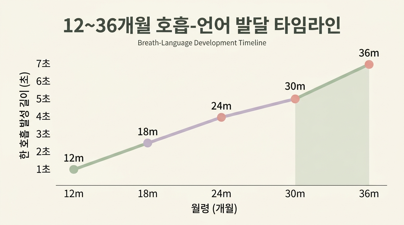 12개월부터 36개월까지 한 호흡 발성 길이와 발화 단어 수 발달 타임라인 인포그래픽