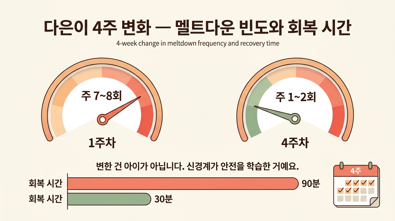 다은이 4주 멜트다운 변화 빈도 회복 시간 인포그래픽