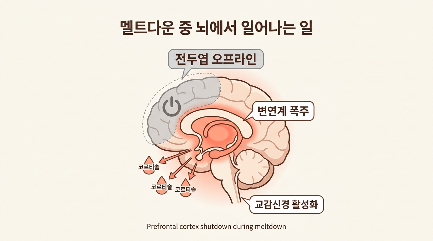 멜트다운 중 전두엽이 오프라인되는 신경계 메커니즘 다이어그램