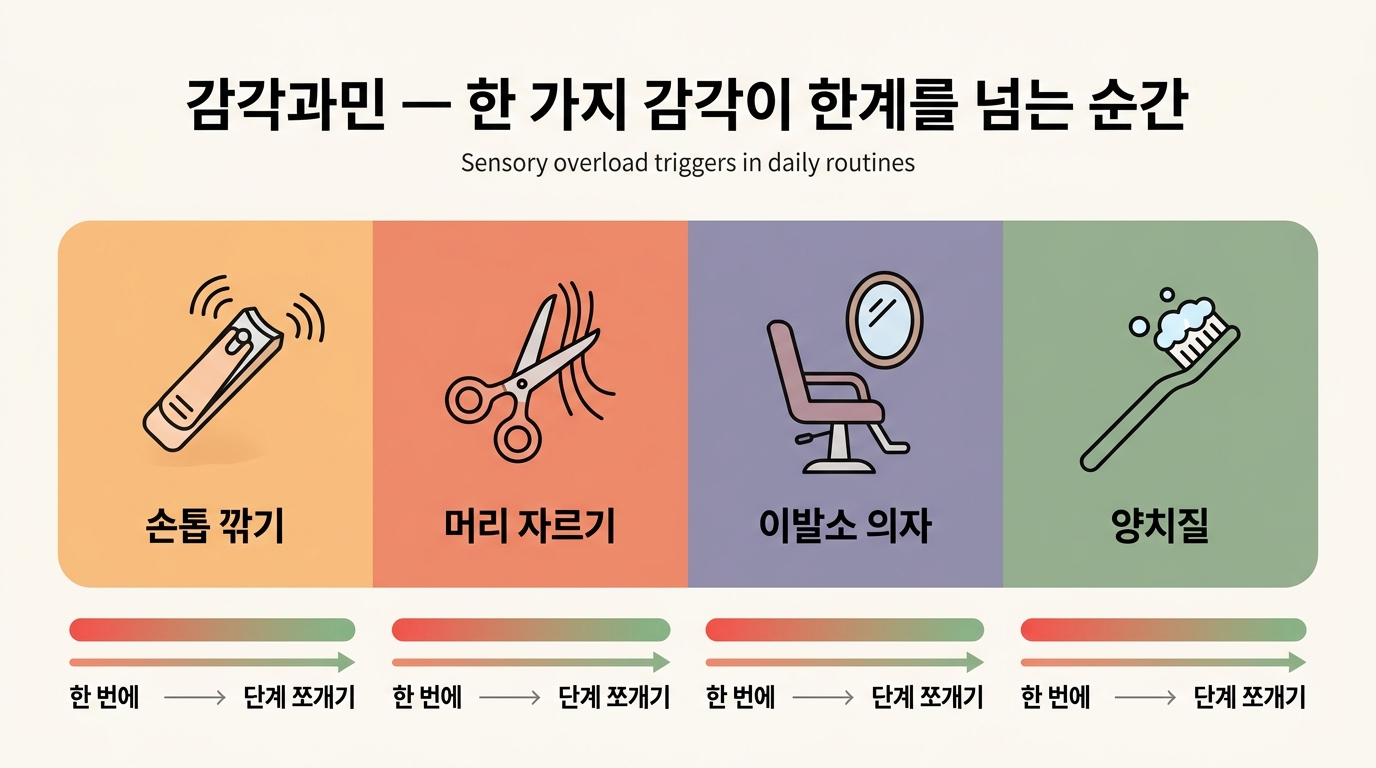 감각과민 손톱 깎기 머리 자르기 이발 트리거 다이어그램