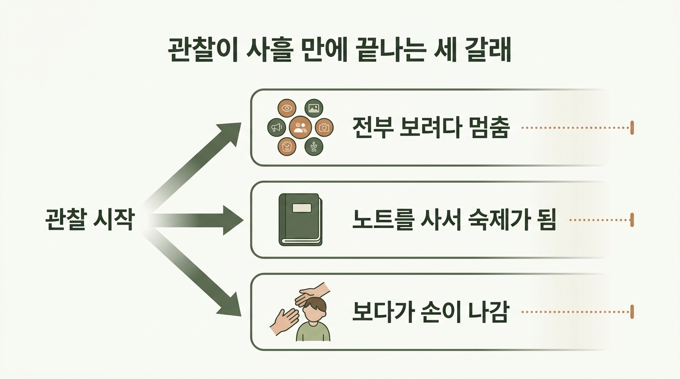 관찰이 사흘 만에 멈추는 세 가지 경로인 너무 많이 보기 노트 사기 손이 나가기를 세 갈래 흐름으로 정리한 교육용 인포그래픽