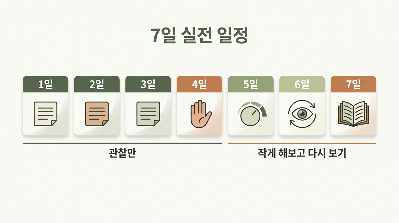 1일차 사실 적기부터 7일차 일주일치 다시 읽기까지 7일 실전 일정을 날짜별 카드로 배열한 인포그래픽