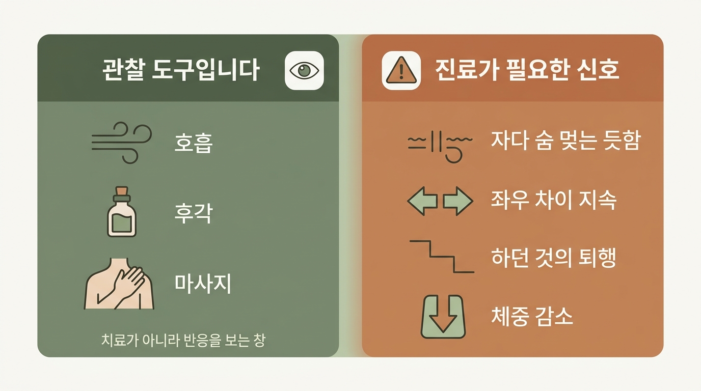 호흡 후각 마사지를 관찰 도구로 쓸 때의 주의점과 즉시 진료가 필요한 네 가지 신호를 좌우로 나눈 비교 인포그래픽