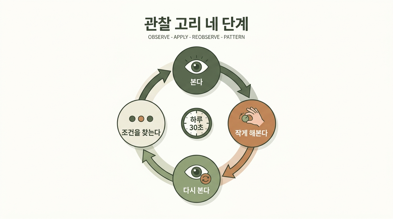 본다 해본다 다시 본다 조건을 찾는다로 이어지는 하루 30초 관찰 고리 4단계를 원형 화살표로 연결한 신경계 육아 인포그래픽