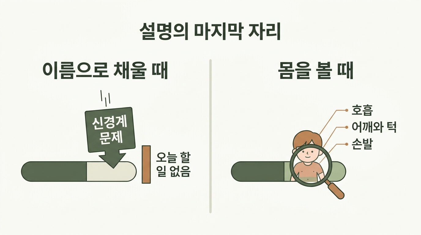 관찰이 부족한 자리를 신경계라는 이름이 대신 채우는 구조와 몸 상태를 직접 보는 구조를 좌우로 비교한 2패널 인포그래픽