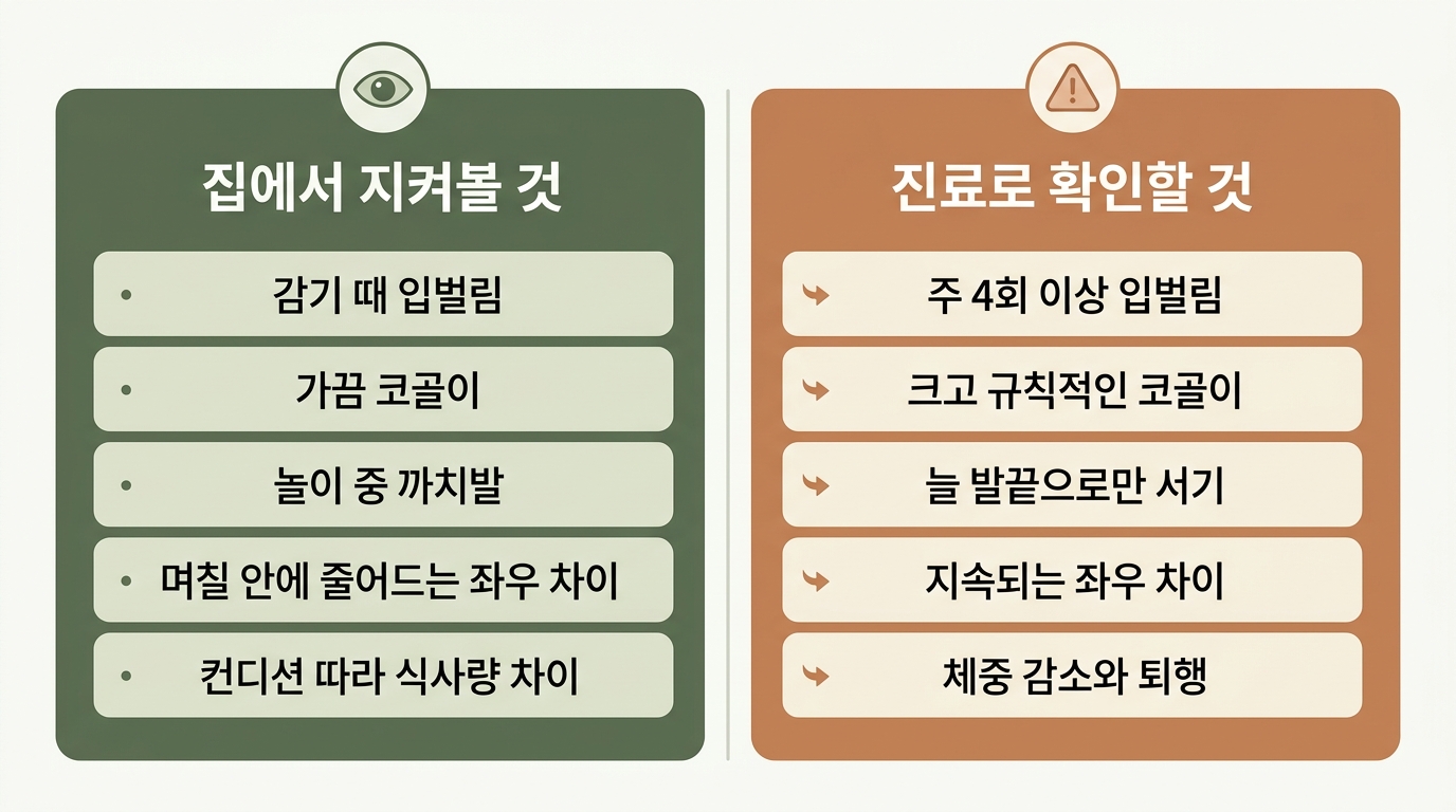입벌림 코골이 까치발 좌우 차이 발달 다섯 신호를 집에서 지켜볼 경우와 진료로 확인할 경우로 나눈 좌우 비교 인포그래픽