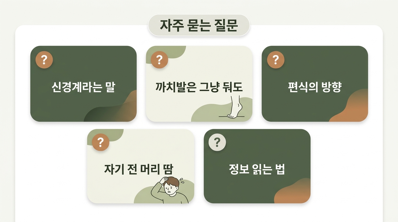 신경계라는 말 까치발 편식 머리땀 정보 읽는 법 등 자주 묻는 질문 다섯 가지를 짧은 헤더 카드 다섯 개로 정리한 인포그래픽