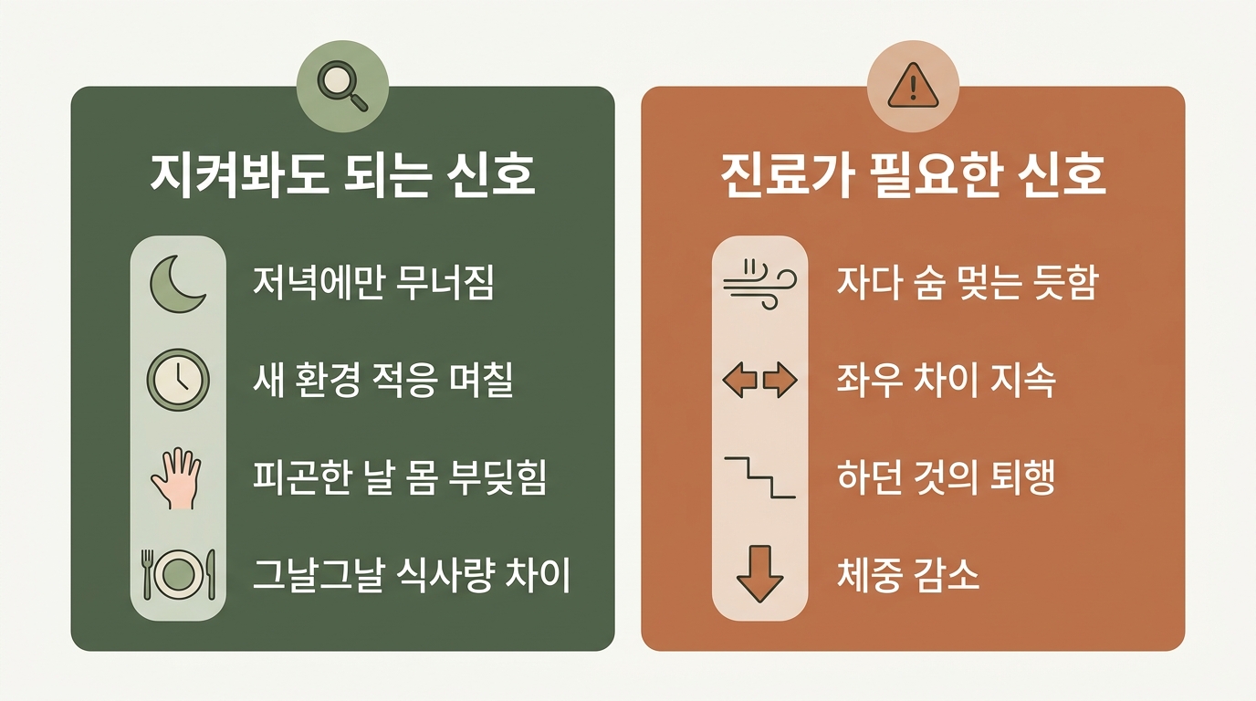 집에서 계속 관찰해도 되는 신호와 수면 무호흡 좌우 비대칭 퇴행 체중 감소처럼 즉시 진료가 필요한 신호를 좌우로 나눈 비교 인포그래픽