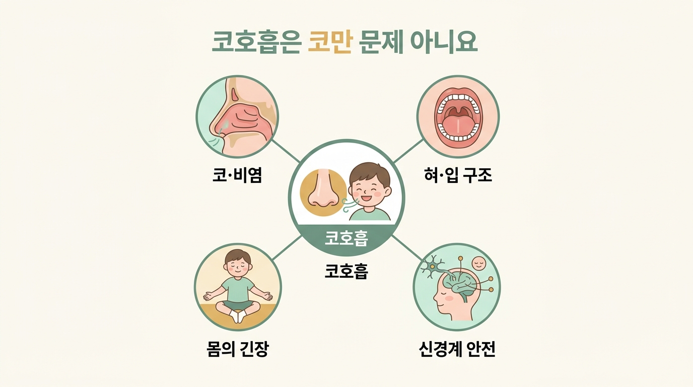 아이 코호흡 오해가 사랑하는 마음과 단순한 정보에서 생겨나는 과정을 3단계로 그린 교육용 인포그래픽