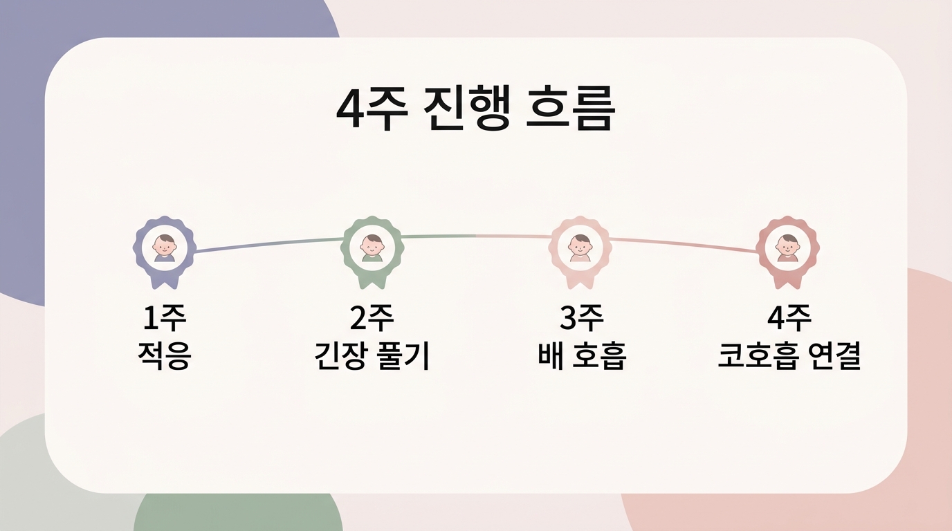 1주차부터 4주차까지 코호흡 루틴 진행과 관찰 신호를 정리한 4주 타임라인 인포그래픽