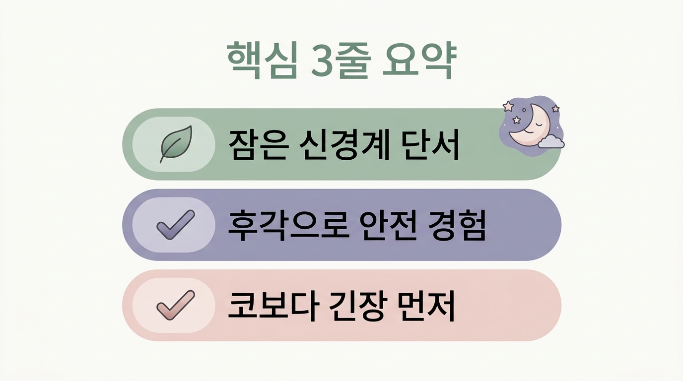 잠은 신경계 단서 후각으로 안전 경험 코보다 긴장 먼저라는 핵심 3줄 요약 인포그래픽