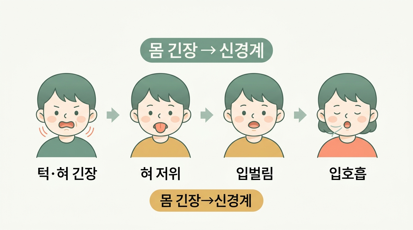 혀가 입천장을 받쳐 턱이 안정되고 입이 다물려 코호흡으로 이어지는 과정을 화살표로 연결한 인포그래픽