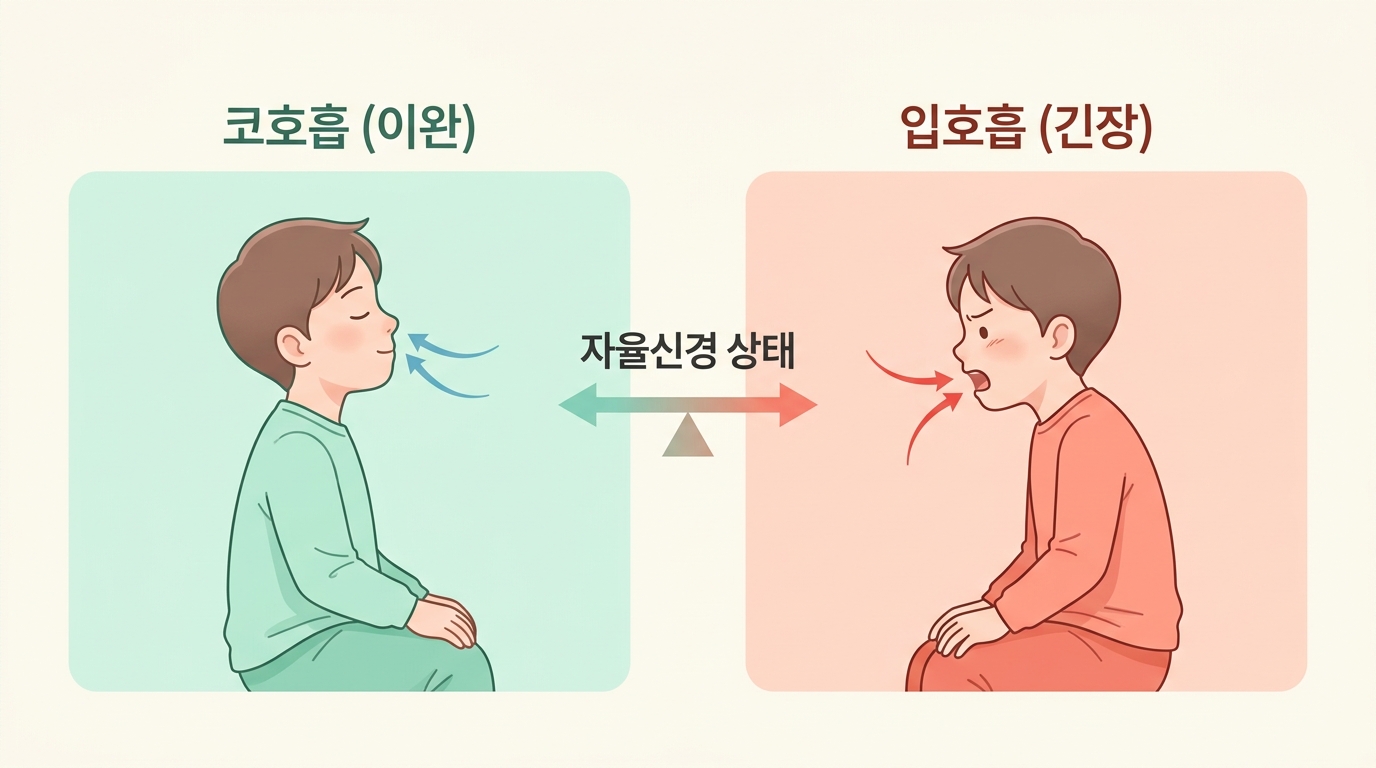 코호흡 아이와 입호흡 아이의 신경계 상태 차이를 좌우로 비교한 한글 라벨 인포그래픽