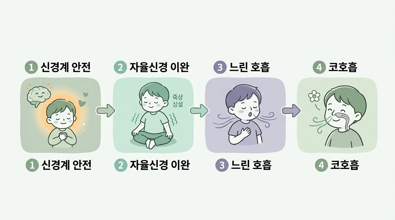 신경계 안전에서 자율신경 이완 느린 호흡 코호흡으로 이어지는 4단계 흐름 다이어그램