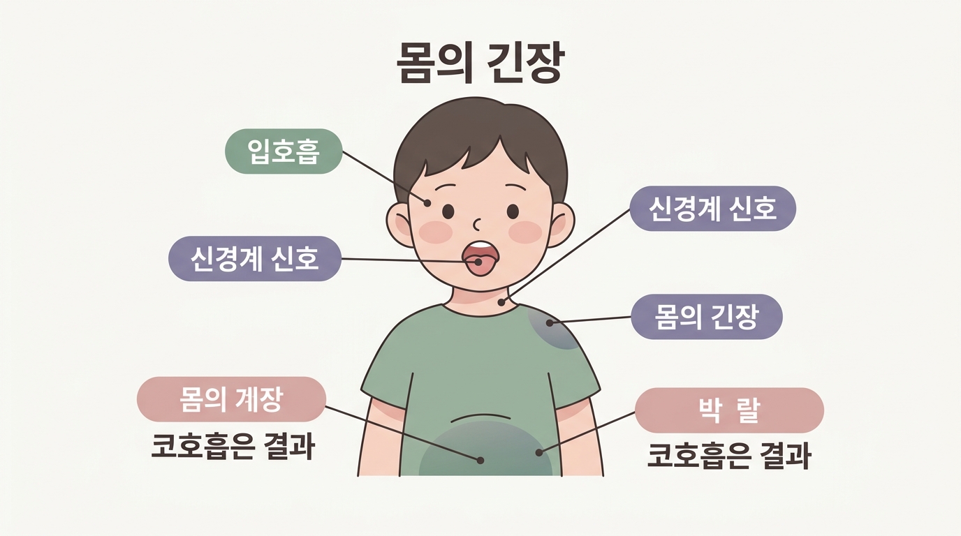 아이가 입으로 숨 쉬는 이유, 버릇이 아니라 신경계가 보내는 신호입니다