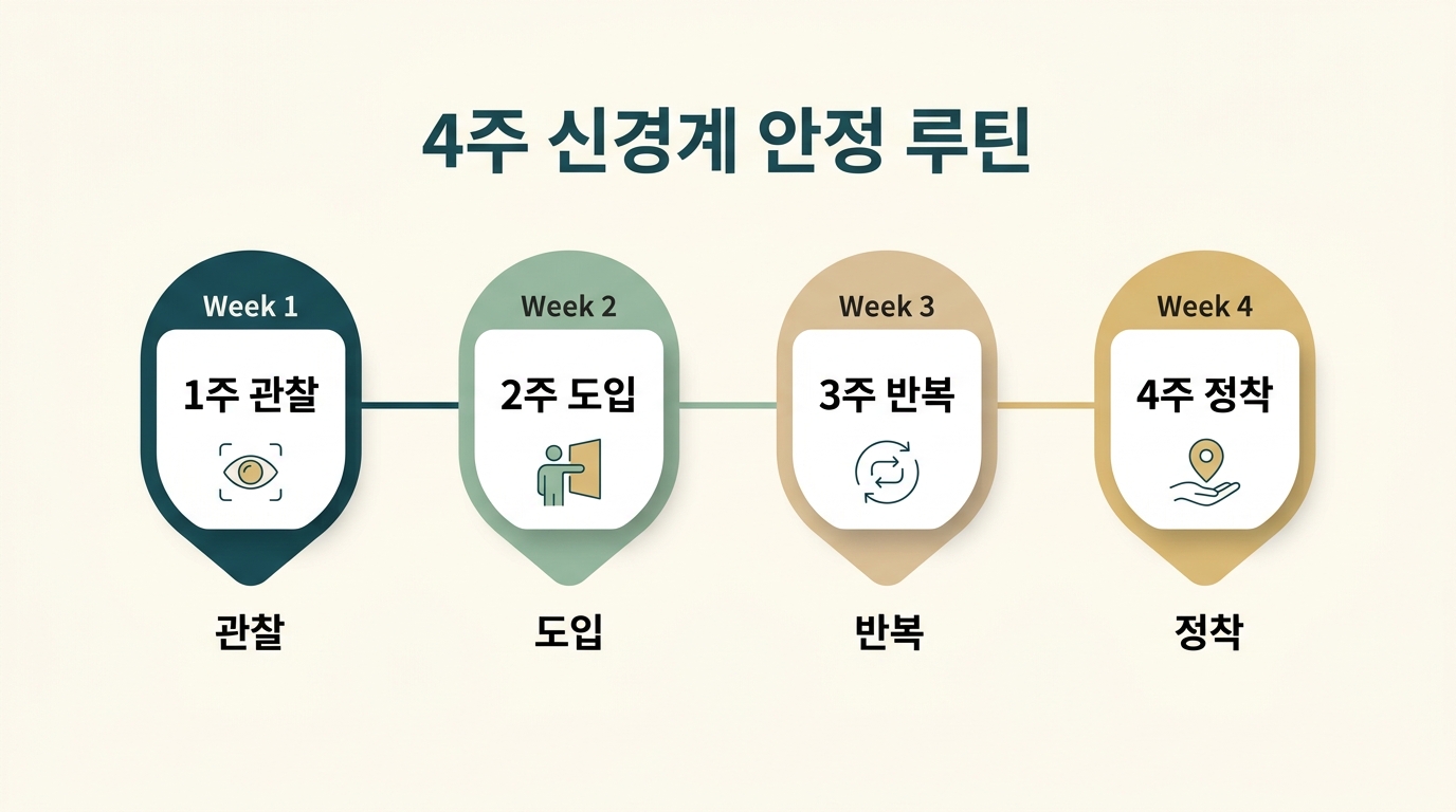 1주 관찰 2주 도입 3주 반복 4주 정착으로 이어지는 4주 신경계 안정 루틴 타임라인 인포그래픽
