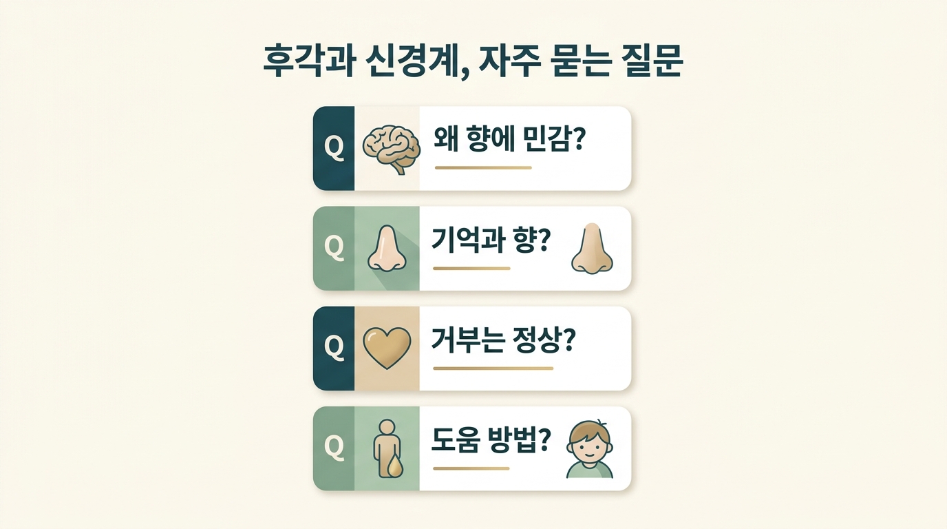 향 민감성의 이유 향과 기억의 연결 향 거부의 정상 여부 등 후각과 신경계에 대한 자주 묻는 질문을 정리한 카드형 인포그래픽