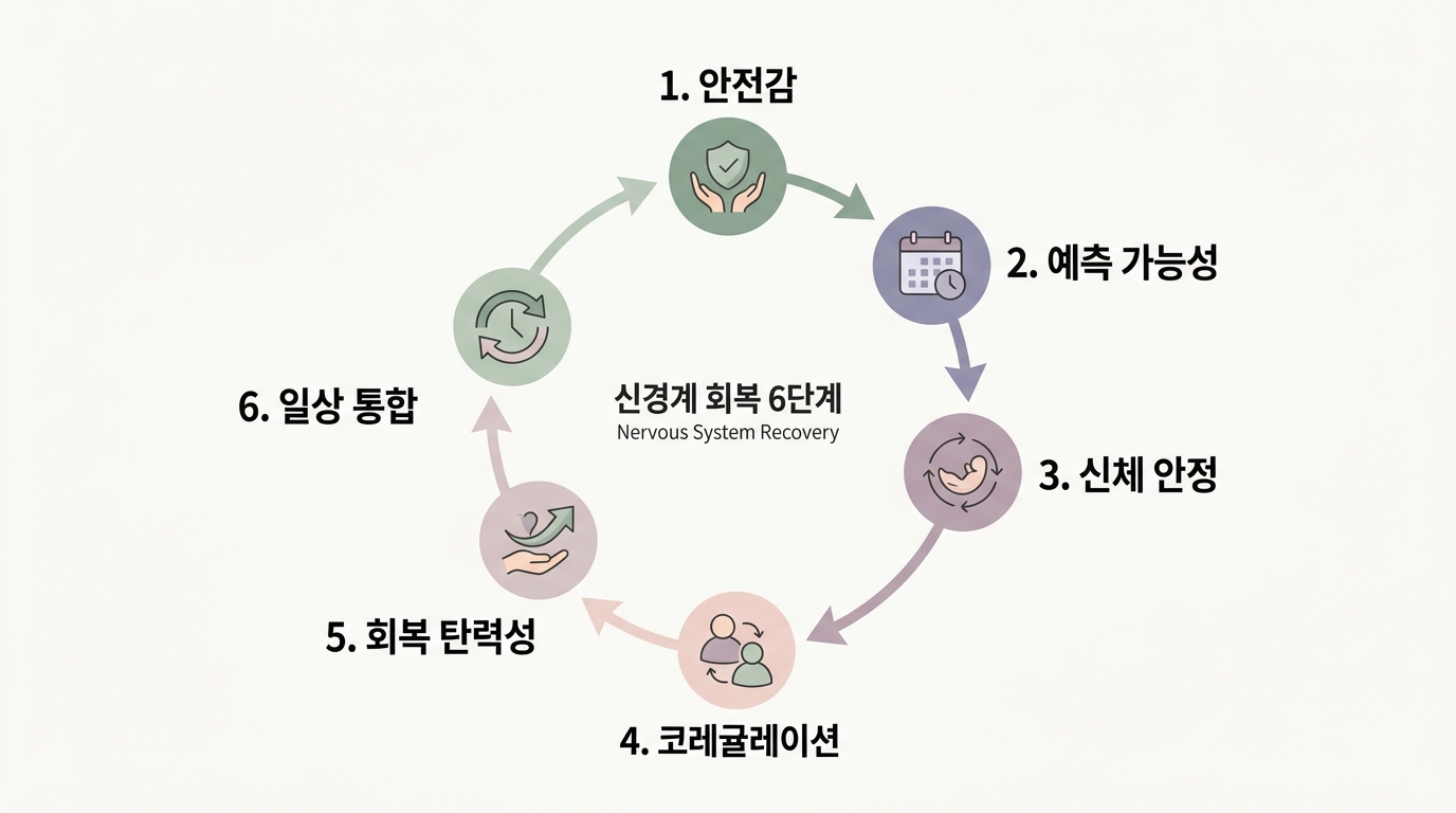 신경계 회복 6단계를 원형 흐름으로 정리한 다이어그램