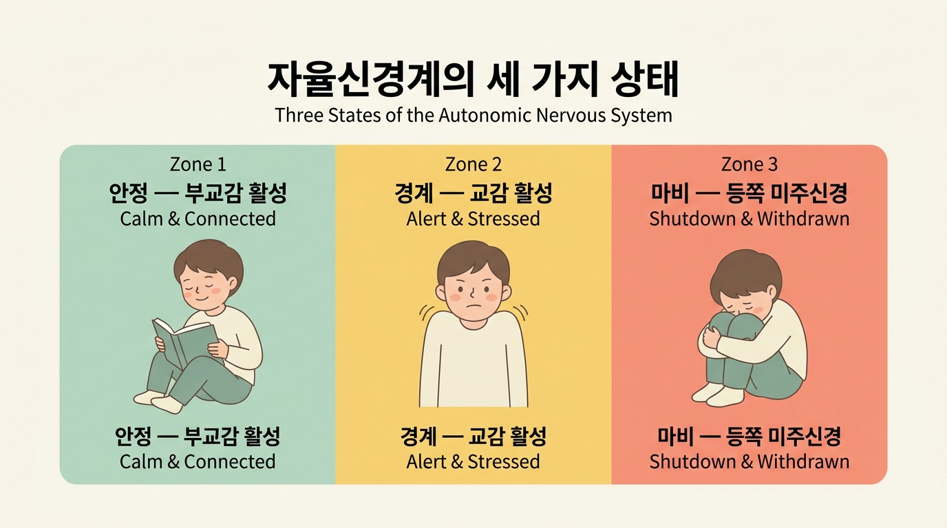 자율신경계의 세 가지 상태를 비교한 일러스트